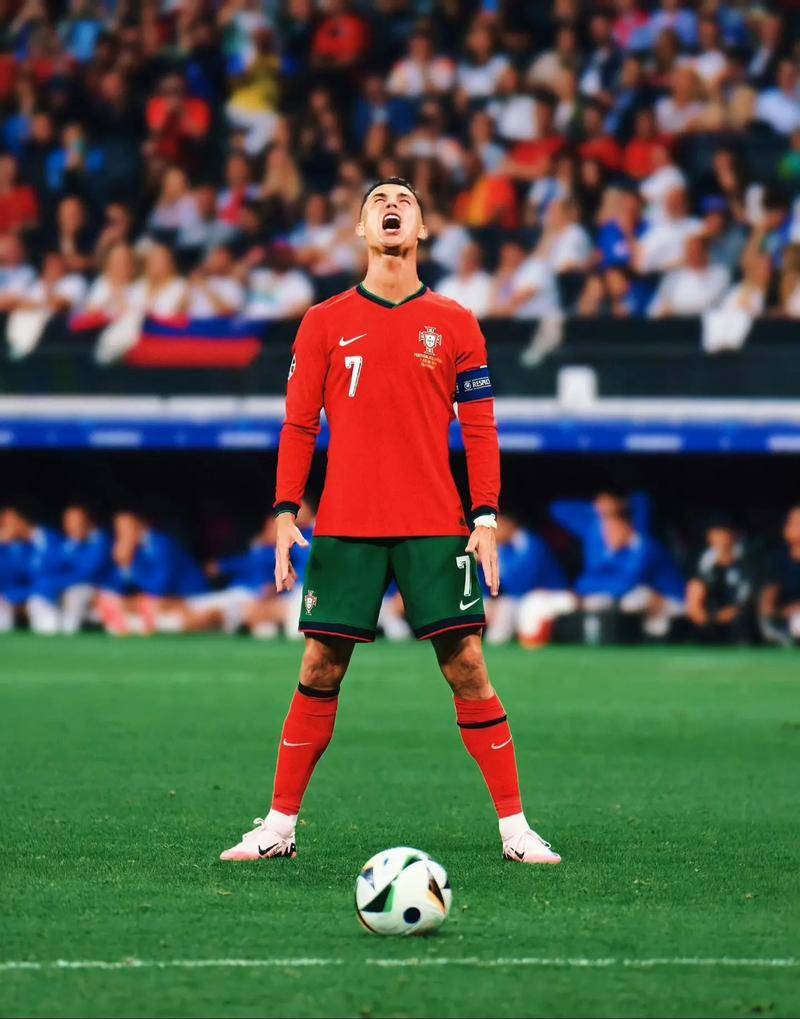 球迷的热情 球迷的热情