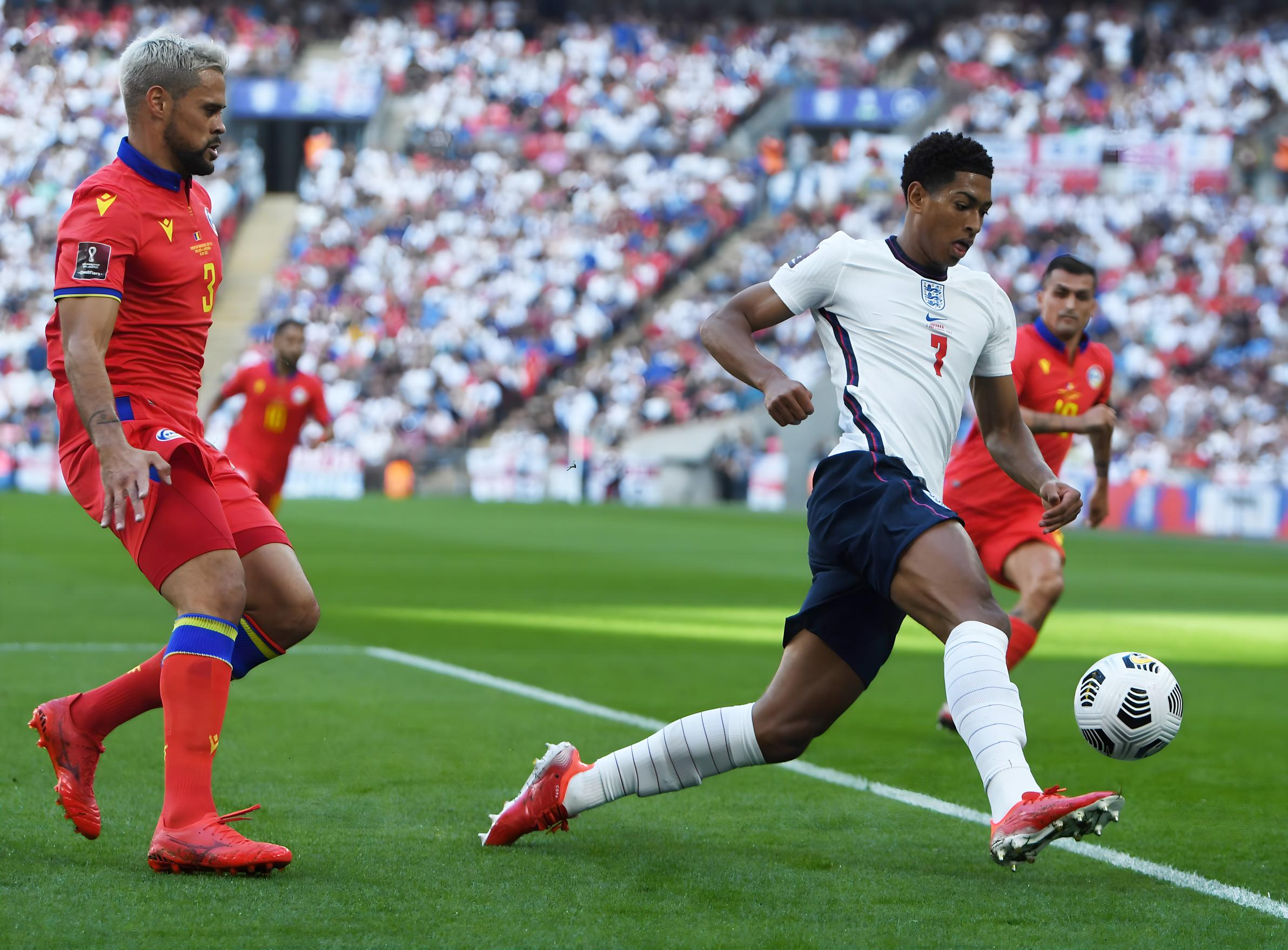 这对于整个 这对于整个