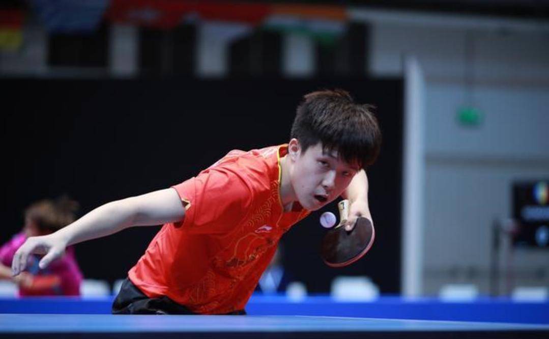 因为它不仅 因为它不仅