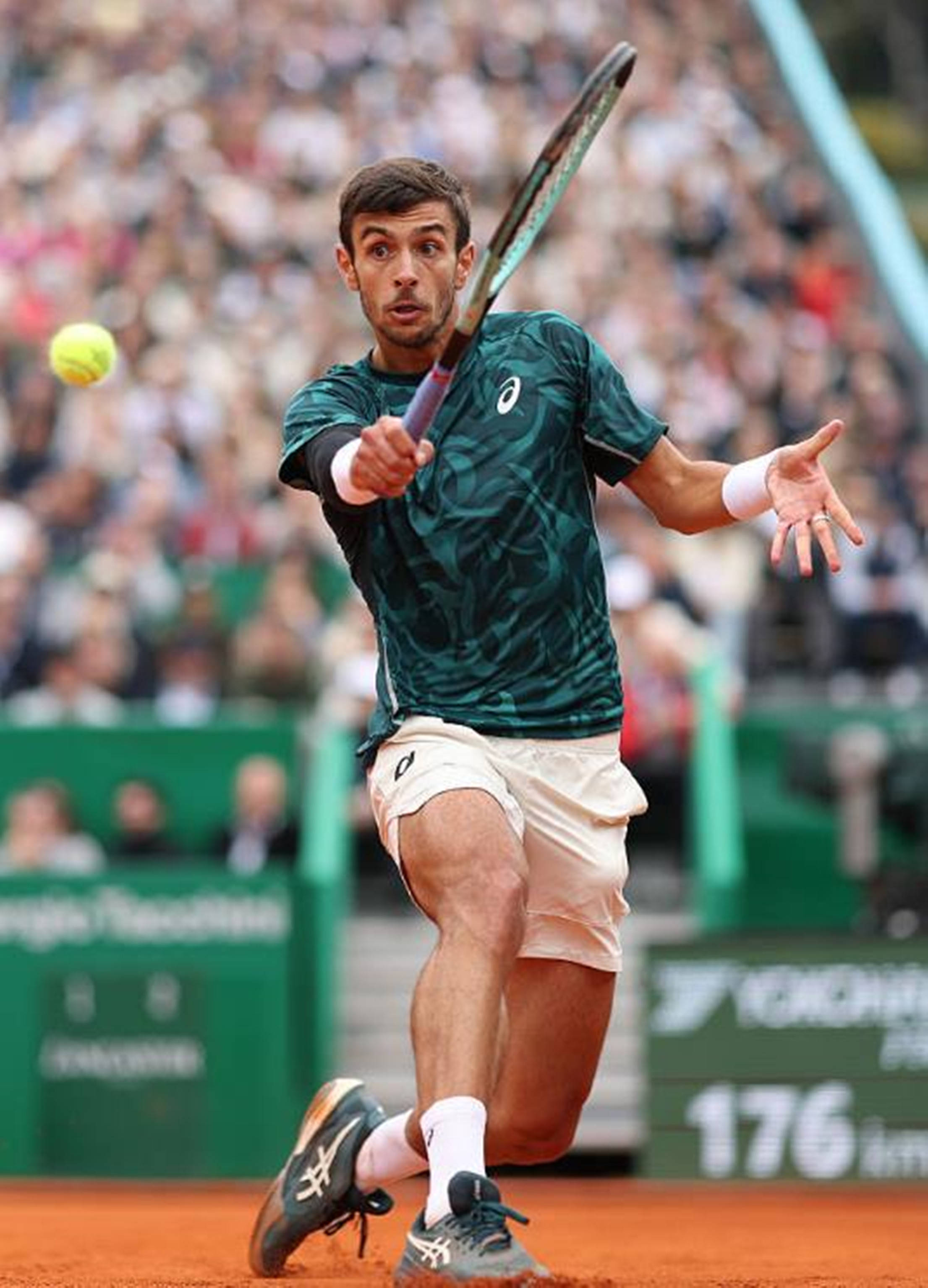 某些青年锦 某些青年锦